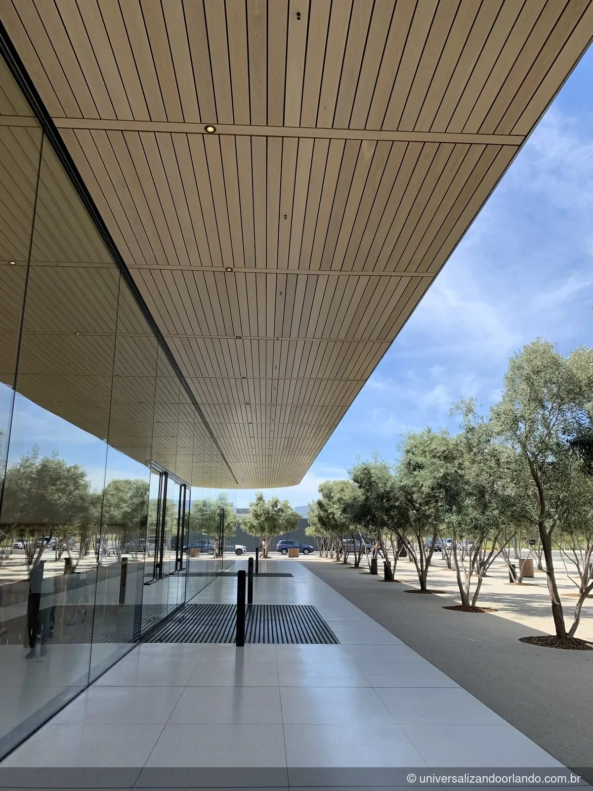 Detalhe da arquitetura de vidro e madeira do Apple Park