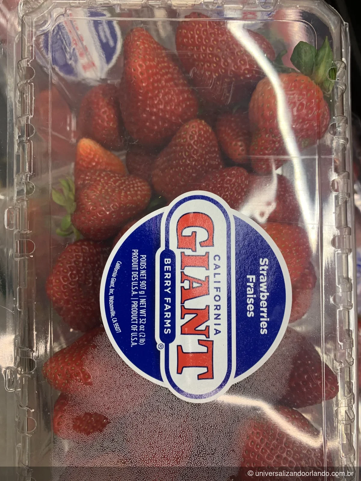 Caixa de morangos de 2 libras: o tipo de compra que compensa no supermercado em Orlando