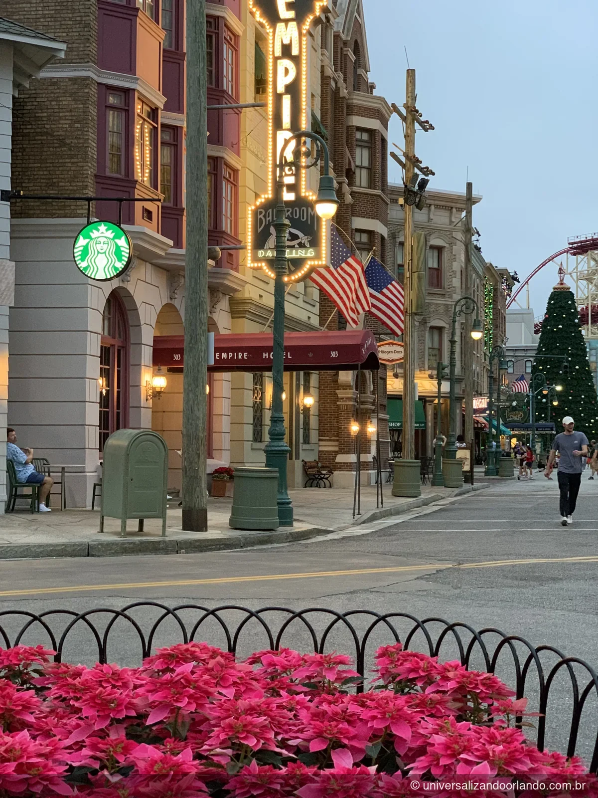 Poinsétias vermelhas decorando a rua durante o Natal em Orlando