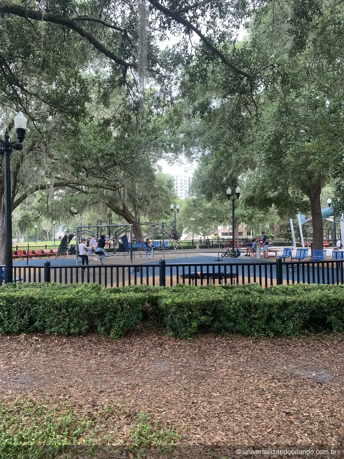 Playground e carvalhos com barba-de-velho no parque do Lake Eola
