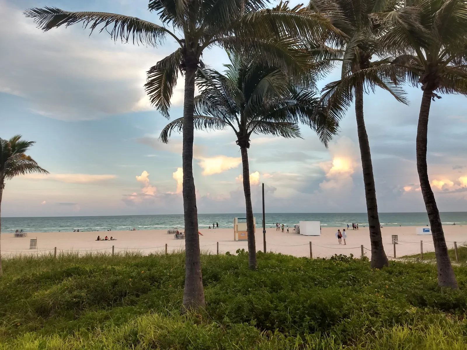 Calçadão de South Beach com palmeiras ao fim da tarde, em Miami Beach