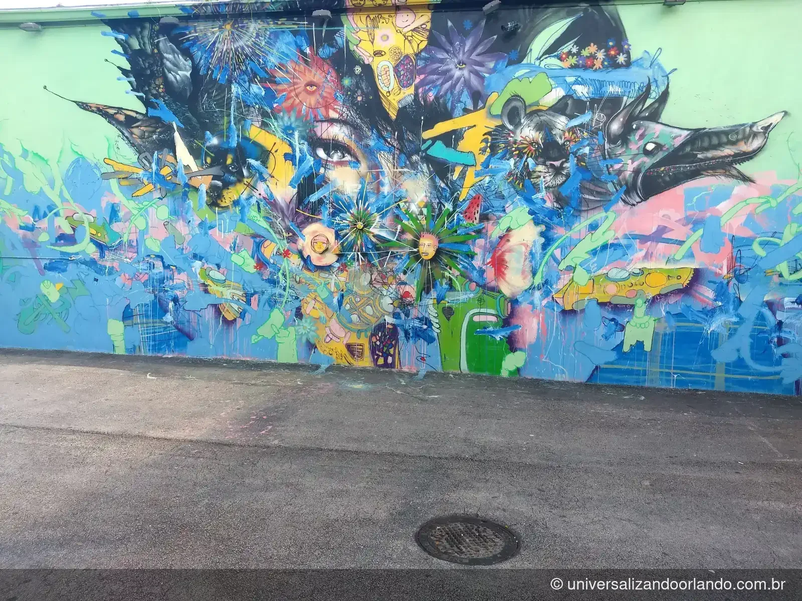 Parede grafitada em Wynwood, bairro que se visita a pé sem carro